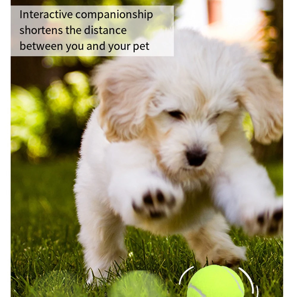 

3 шт., резиновый мяч для собак и щенков, эластичный