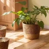 Multi Functional Storage Basket Seaweed Woven Flower Pot Rattan Woven Plant Green Plant Cover Pot Home Decoration Flower Pot Flo 3