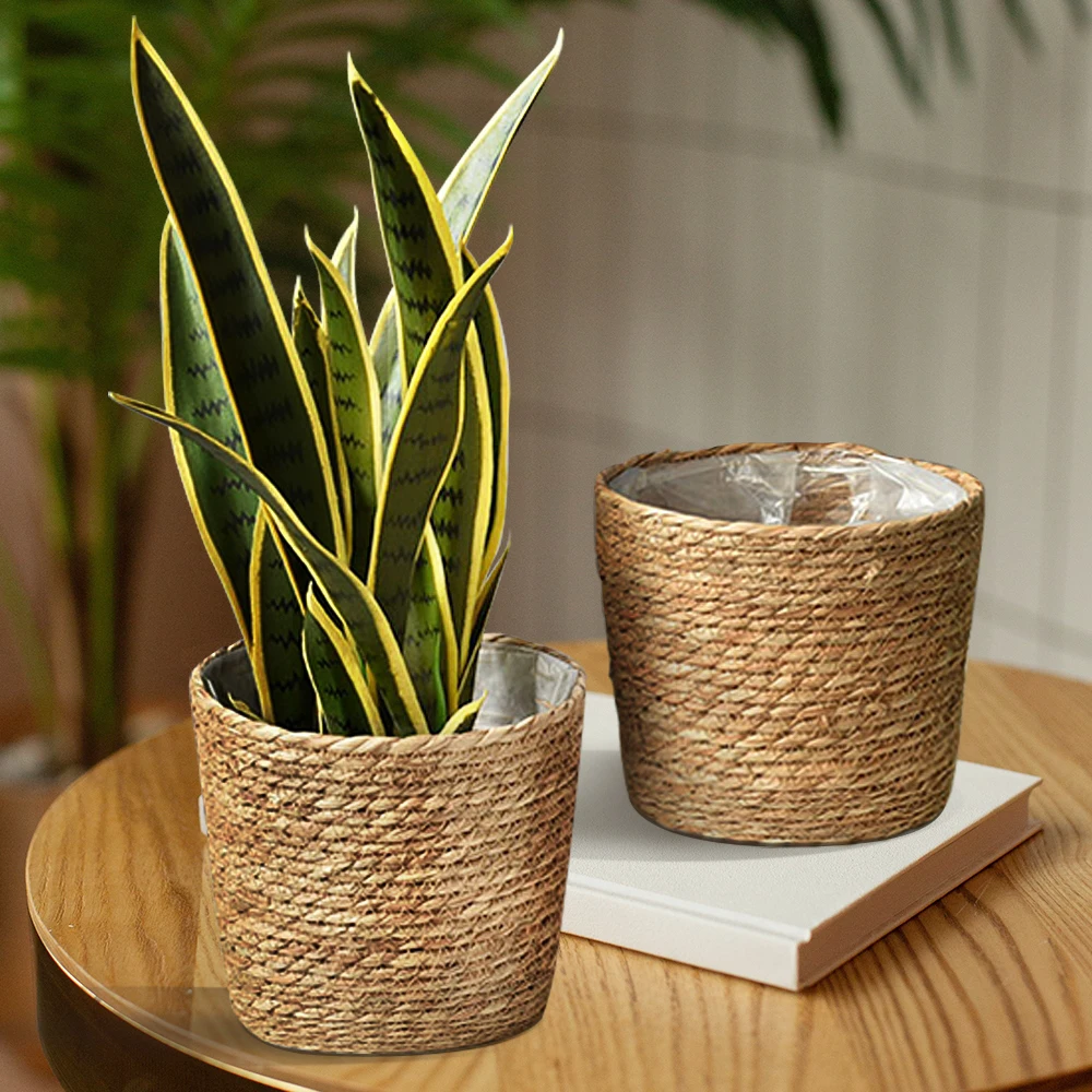 Cestas de mimbre como maceteros  Indoor plants, Plant decor, Natural home  decor