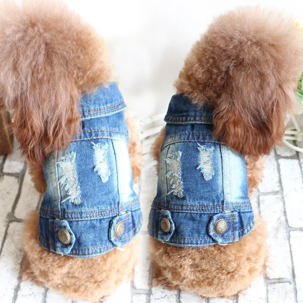 Denim Jacket Clothes 5