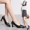 High Heels Pumps Women Shoes Stiletto Woman Party Wedding Shoes Kitten Heels Plus Size 35 - 44 1