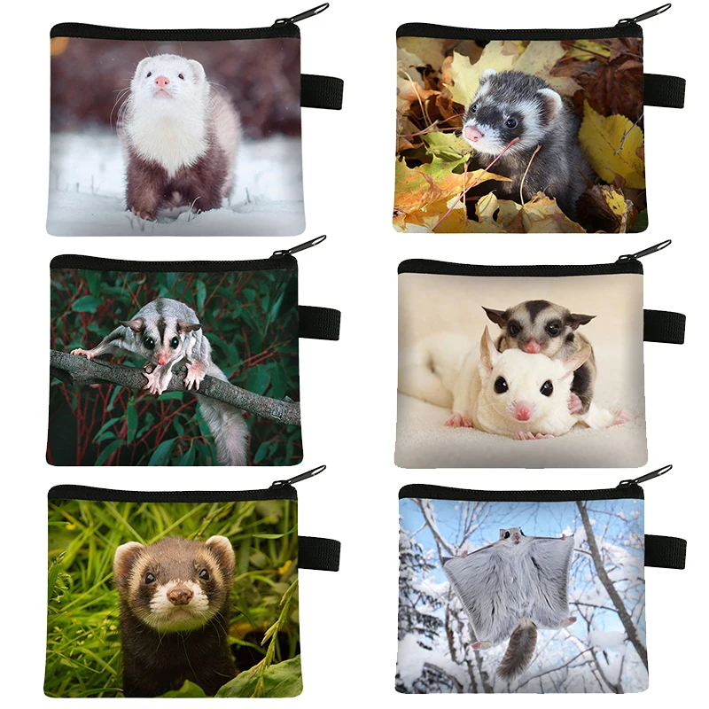 Kawaii Cartoon Furetto/Pet Sugar Glider Print Portamonete Portafogli Da Donna Porta Auricolari Per Carte Di Credito Pochette Piccola Portamonete