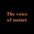 The voice of nature Store