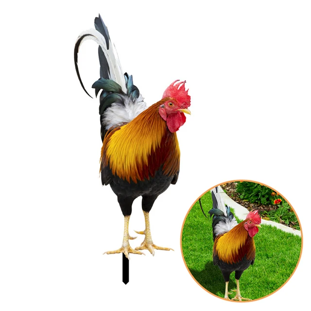 Kerti Kakas Szobrok Vízálló Csirke Szobor Dekorációk Akril Farm Teraszos Gyep Hátsó Udvarához - Image 5