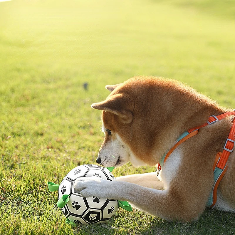 

Pet Dog Ball Toys Interactive Football Toys With Grab Tabs Dog Outdoor Training Soccer Pet Bite Chew Balls For Small Meduim Dog