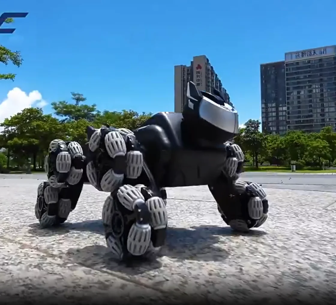 JJRC 2.4G New 360&deg;Rotation Remote Control Music Stunt Four-Wheel Drive Drift Deformation Mechanical Dog Toys For Children's Gift