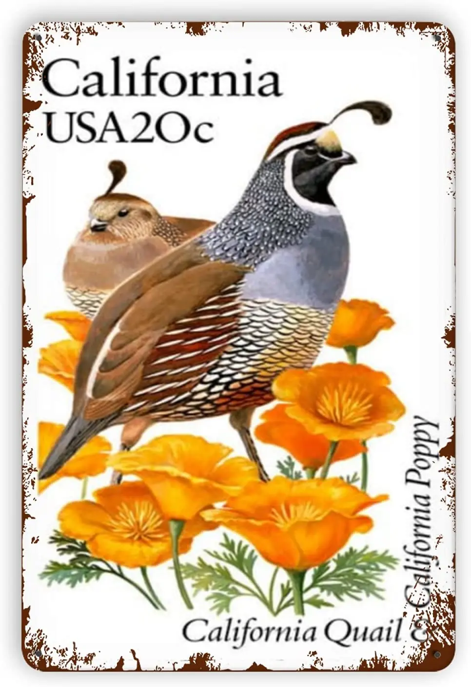 

Pizigci Retro Vintage Metal Tin Sign California Quail Signs Outdoor Garden Home Bar Cafe Kitchen Wall Decor Sign, 12X8Inch
