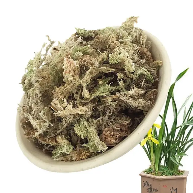 A Sphagnum Moha Kerti Hidratáló Táplálkozási Szerves Műtrágya Szárított Mohás Cserepes Keverék Phalaenopsis Orchideához - Image 6
