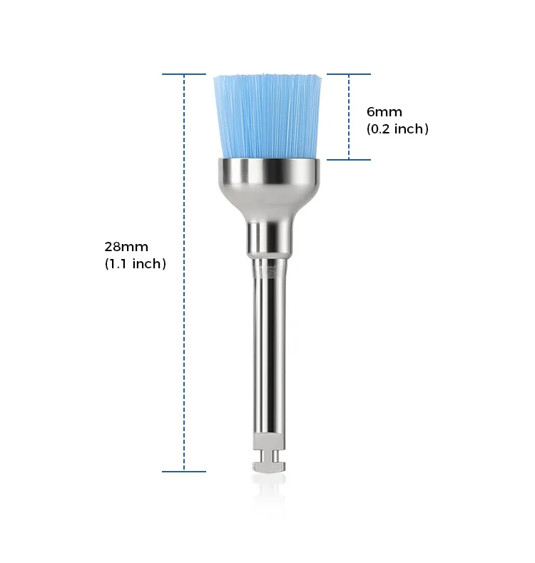 10 Stück AZDENT Dental-Polierbürsten aus Aluminiumoxid und Siliziumkarbid, Flache Scharfe Schalenform, Prophylaxe-Polierer für Winkelstücke – Detail 27