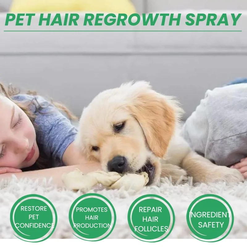 Hair Mask Diy Dog Leave In Conditioner Certified Organic Essential