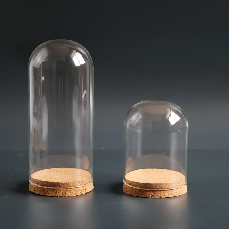 12*26cm Big Size Glass Dome Vase Home Decoration Cork Base Transparent Cover DIY Friend Birthday Favor Gift Wedding Live Prop 2