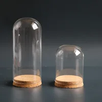 12*26cm Big Size Glass Dome Vase Home Decoration Cork Base Transparent Cover DIY Friend Birthday Favor Gift Wedding Live Prop 2