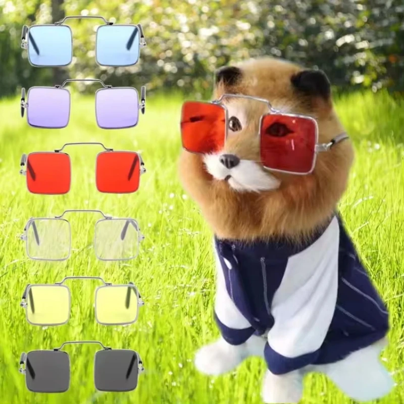 Cool Square Lens Pet Glasses Color Lens - PeticaDeals