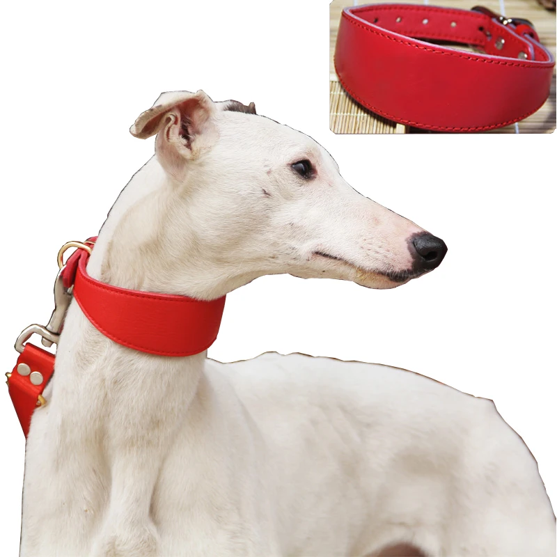 Cowhide Pet Dog Collar Durable Adjustable Necklace for Small/Medium Dogs Gree Greyhound Whippet