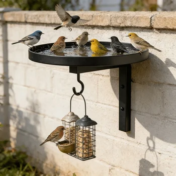 Wall-Mounted Bird Bath & Feeder 1