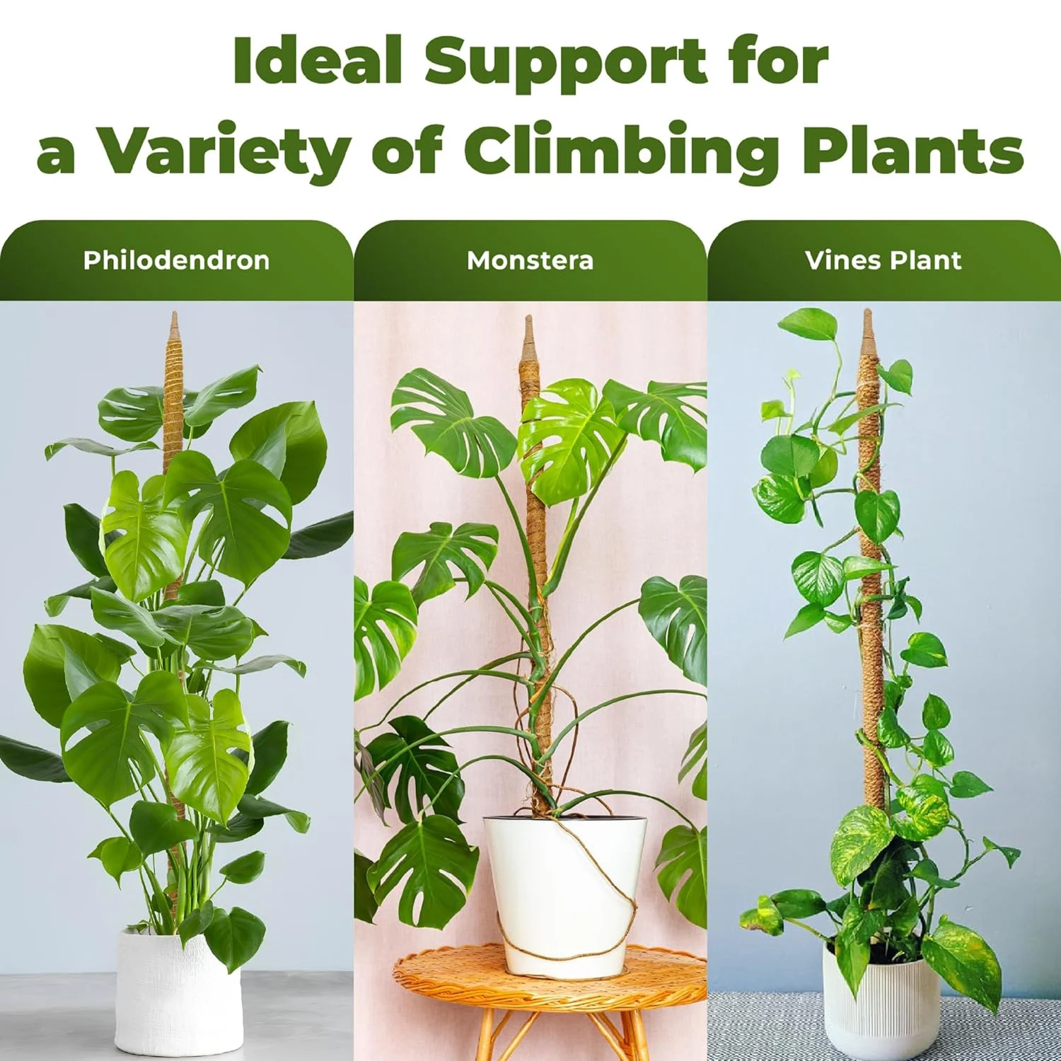Moss Pole Plants 31 Inch Monstera Plant Support Stakes Climbing Outdoor Potted Plants Indoor Trellis Moss Pole plant stakes plant climbing support plant support racks