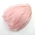 Leather Pink