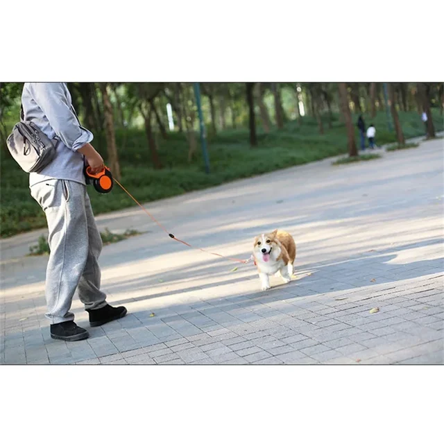 3M/5M/8MRetractable Dog Leash Nylon Extending Walking Reflective Leads Running Lead for Small Large Dogs With Dog Dispenser 4