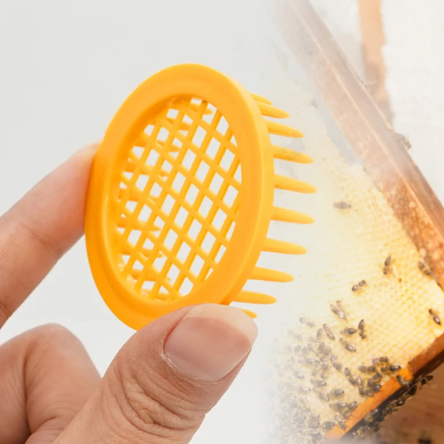 Slide image 86334f2e3e334eefa49a66ae62f06b82