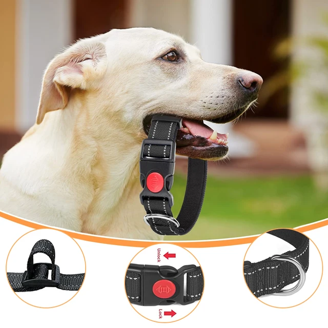 Night Reflection Dog Pet Towing Rope Pet Walking Training Leash Luminous Collar Adjustable Dog Collar Pet Safety Harnes Collar 4