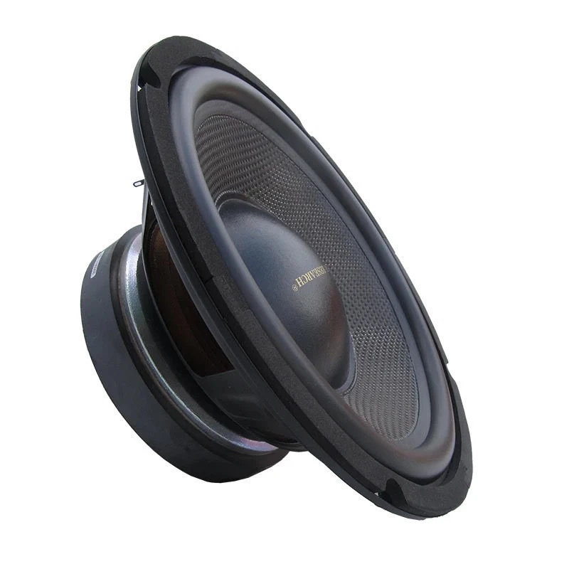 Subwoofer Per Febbre Da 10 Pollici Subwoofer Da 10 Pollici St10