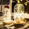 2M 20 LED Bottle Light Fairy Lights Cork Mood Lights Wine Bottle Night Light for Party, Garden, Christmas, Wedding Decoration 3