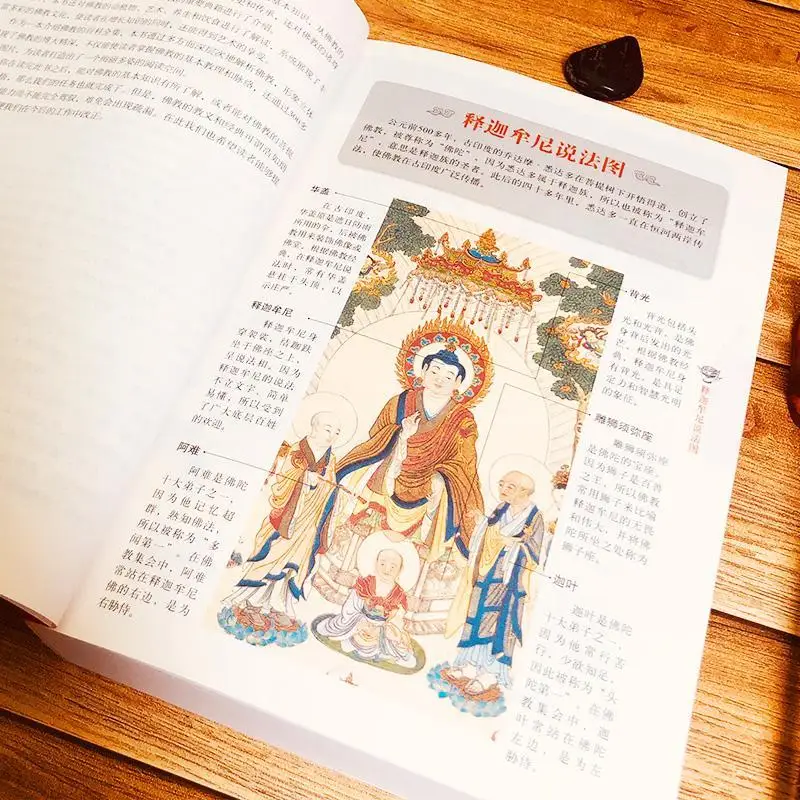 Completely Understand Buddhism in One Go with Illustrations, Buddhist Classics and Historical Knowledge Books