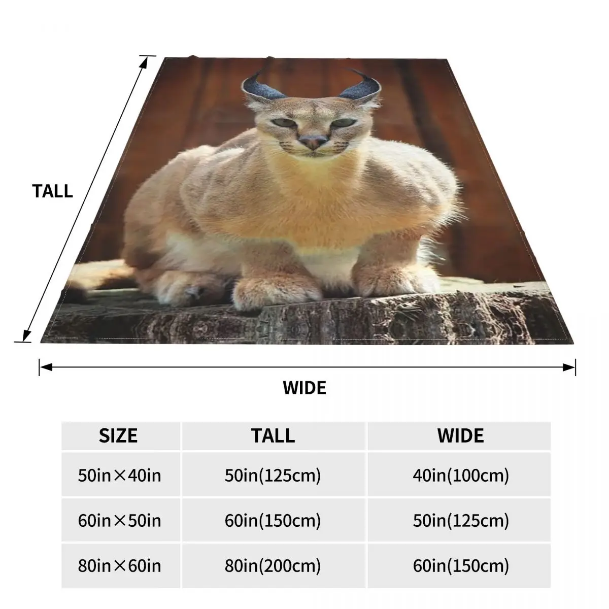 ī��Į ������ ��� �÷���, ���� �ö��� ������ ����Ʈ ������ ��� ħ�� ����� ����