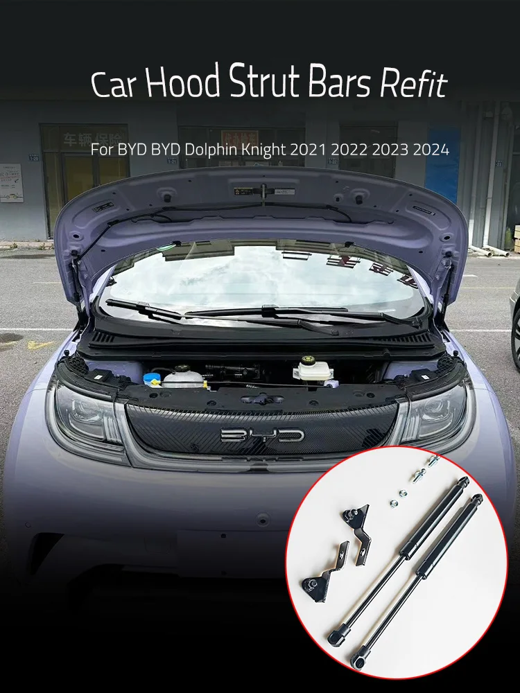  ĵ  Ʈ  Ʈ , ڵ Ÿϸ ׼, BYD  2021-2025 