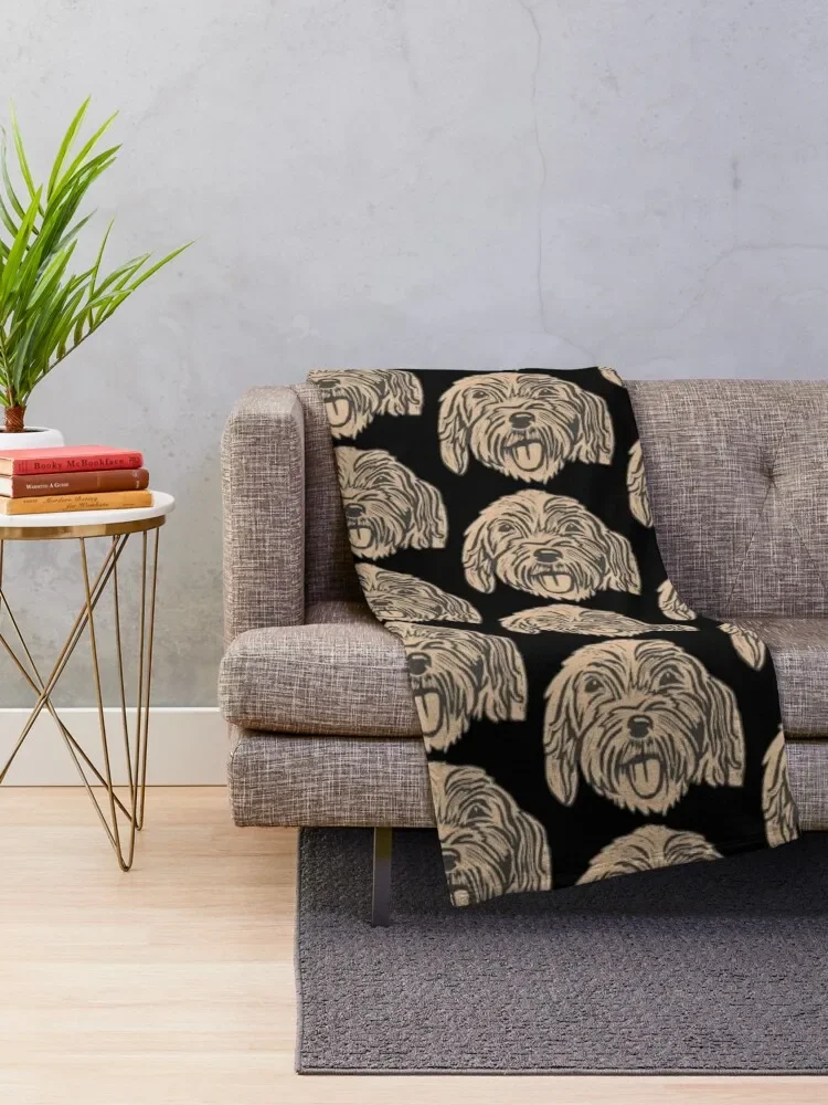 ũ������ ��īǪ ������ ���, �ö��� ���� ħ�� ���� ���� ���, ����