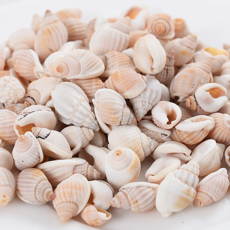 Natural Small Conch Shape Charm Shell Beads Spacer Beads For Jewelry Making DIY Fahion Necklace Bracelet Accessories natural shell ornaments
