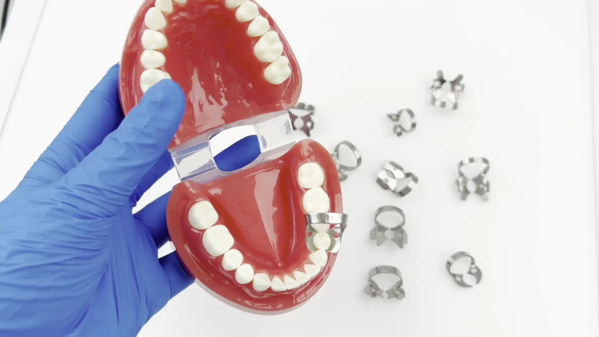 Morsetti Per Diga In Gomma Dentale Pinza Per ... - Aliexpress - Foto 6