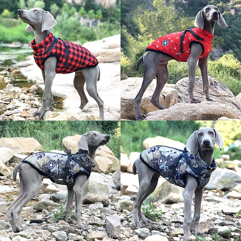thumbnail image 3 of Chaqueta grande con arnés para perro, ropa cálida de invierno para labrador, abrigo impermeable para perro grande, trajes para chihuahua y bulldog francés., 3 of 6