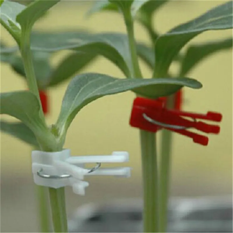 100pcs Plastic grafting clips garden vegetable plants Flat and Round