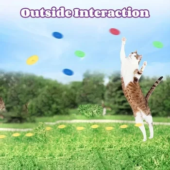 وجهة نظر بديلة حول Funny Cat Toys Creative Turnip Gun with 15pcs Reusable Foam Frisbee Pet Hunting Interactive Toy Dog Cat Pet Supplies