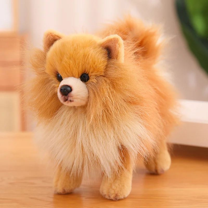 Premium sevimli peluş Pomeranian köpek gerçek hayat peluş oyuncak dolması  hayvanlar yumuşak yavru Pet bebek çocuk çocuk kız güzel hediye - AliExpress