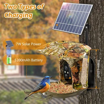 Smart Bird Feeder Camera Solar Powered Bird Watching Camera Wireless Outdoor 1080P HD 7W Solar Panel Bird Species 3