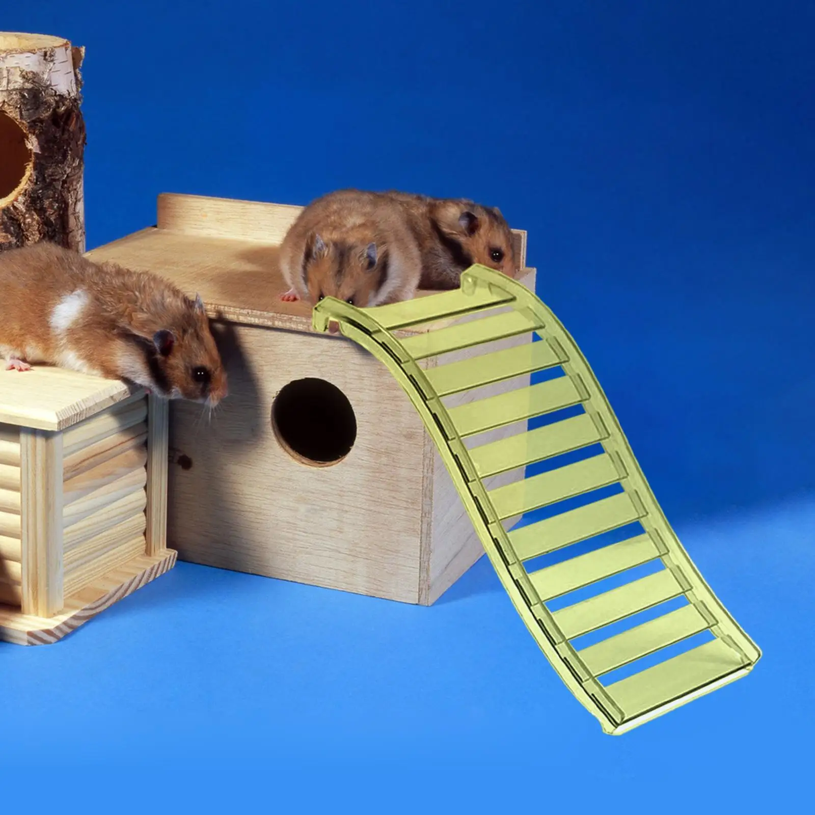 Hamster Ladder Hut Accessory for Platform Stable for Cage Decor Bridge for Hedgehog Small Pets Small Animals Rats Gerbils Hamster Ladder Hut Accessory for Platform Stable for Cage Decor Bridge for Hedgehog Small Pets Small Animals Rats Gerbils