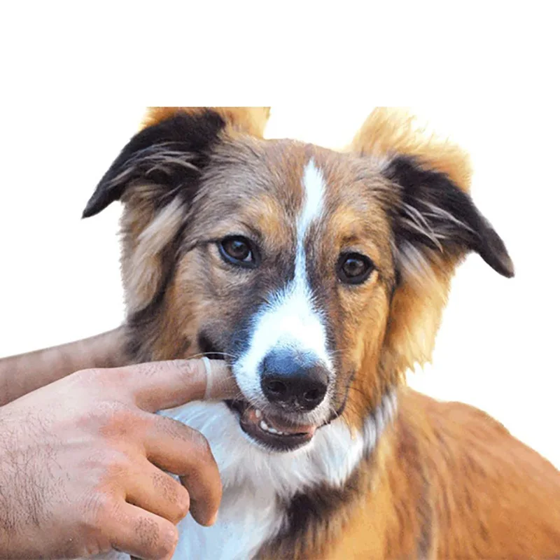 2Pcs Dog Toothbrush Dog Cat Puppy Toothbrush for Teeth Cleaning Nontoxic Silicone Finger with Storage Case
