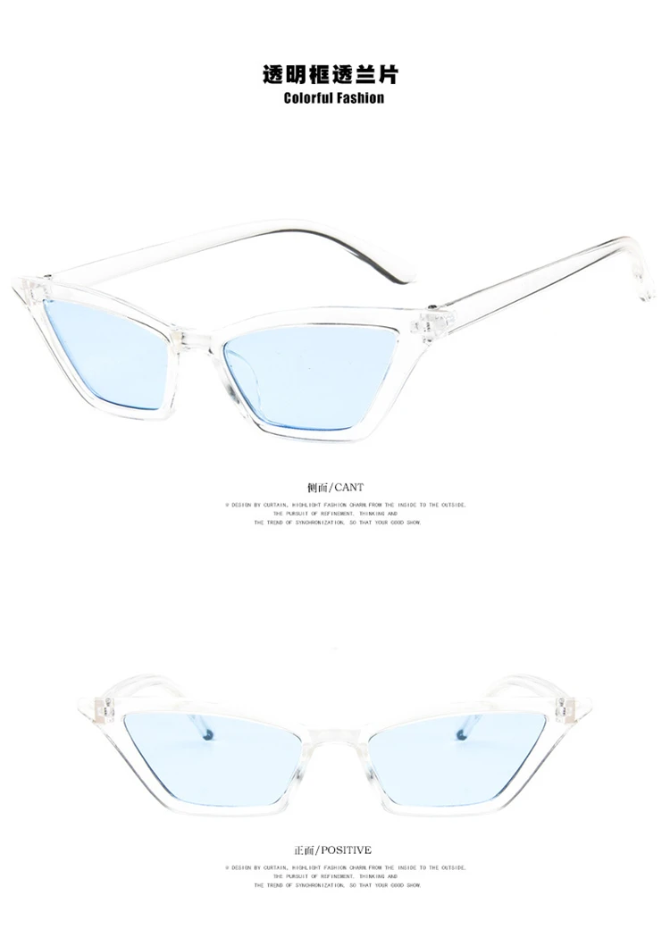 2018-New-Female-Vintage-Cat-Eye-Sunglasses-Women-Brand-Designer-Fashion-Retro-Small-Steampunk-Sun (19)