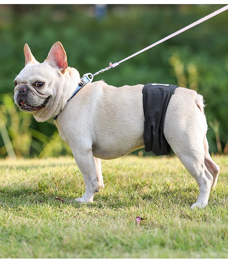Waschbare Wiederverwendbare Hundewindel Für Rüden Aus Graphen_voghion.com