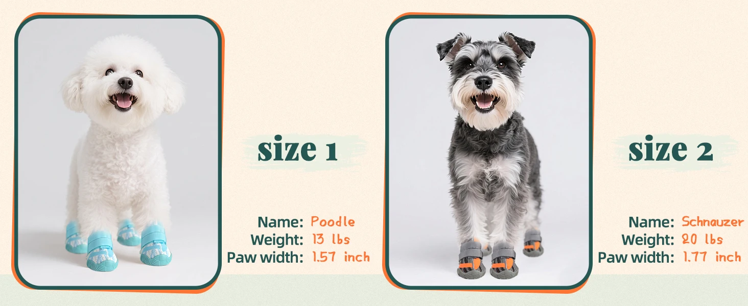 dog winter boots