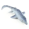 Rc Mosasaur Dinosaur 2.4ghz Electric Fish Gift Toy Underwater Swimming Pool Aquatic Simulation Dinosaur Swimming Fish Toy Forkid 6
