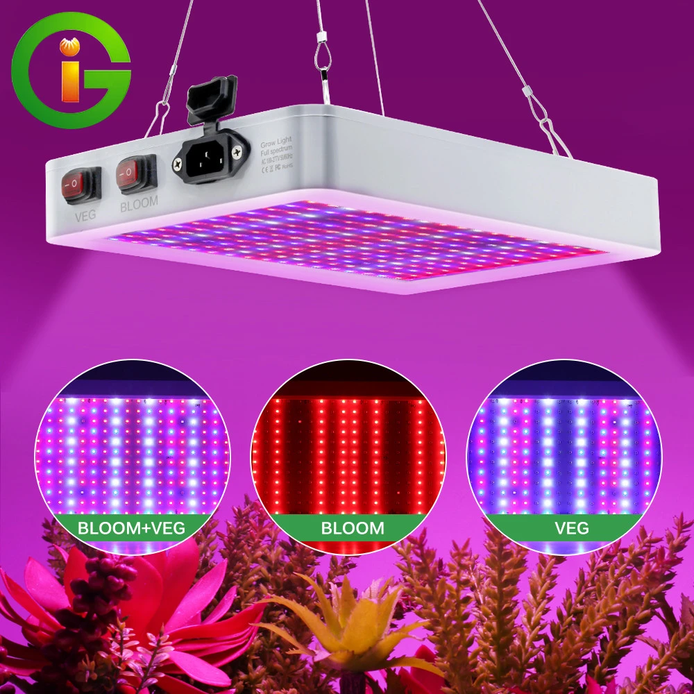 Growing Lamps Led Grow Light 2000w 3000w Full Spectrum Double Switch