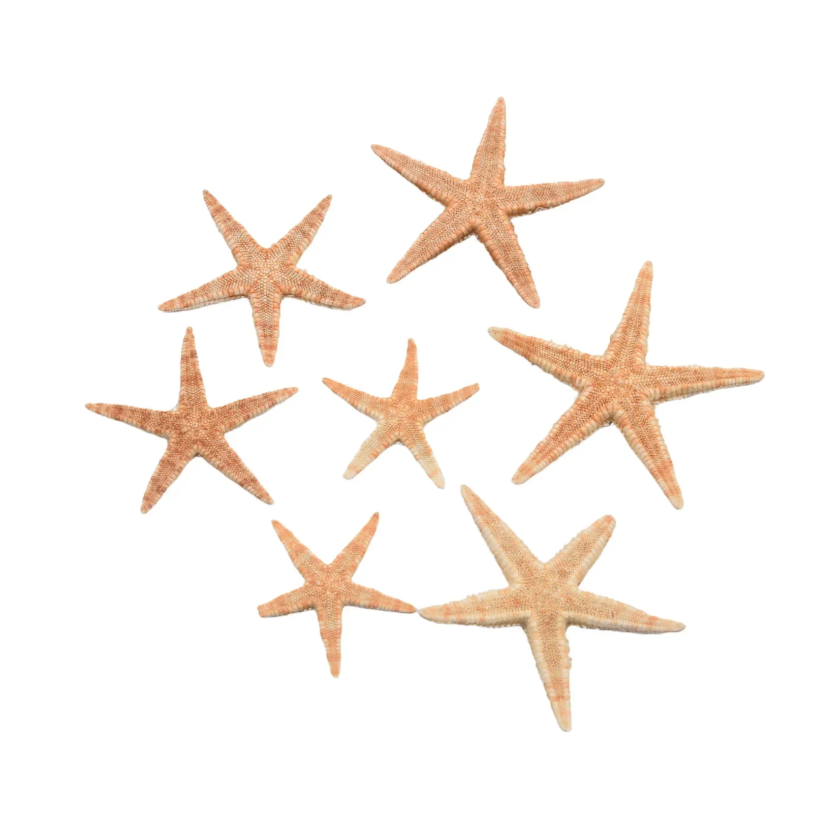 Natural Starfish Box Decoration Fish Tank Landscape Materials DIY Beach Crafts Home Decorations 20/50/100pcs resin starfish ornaments