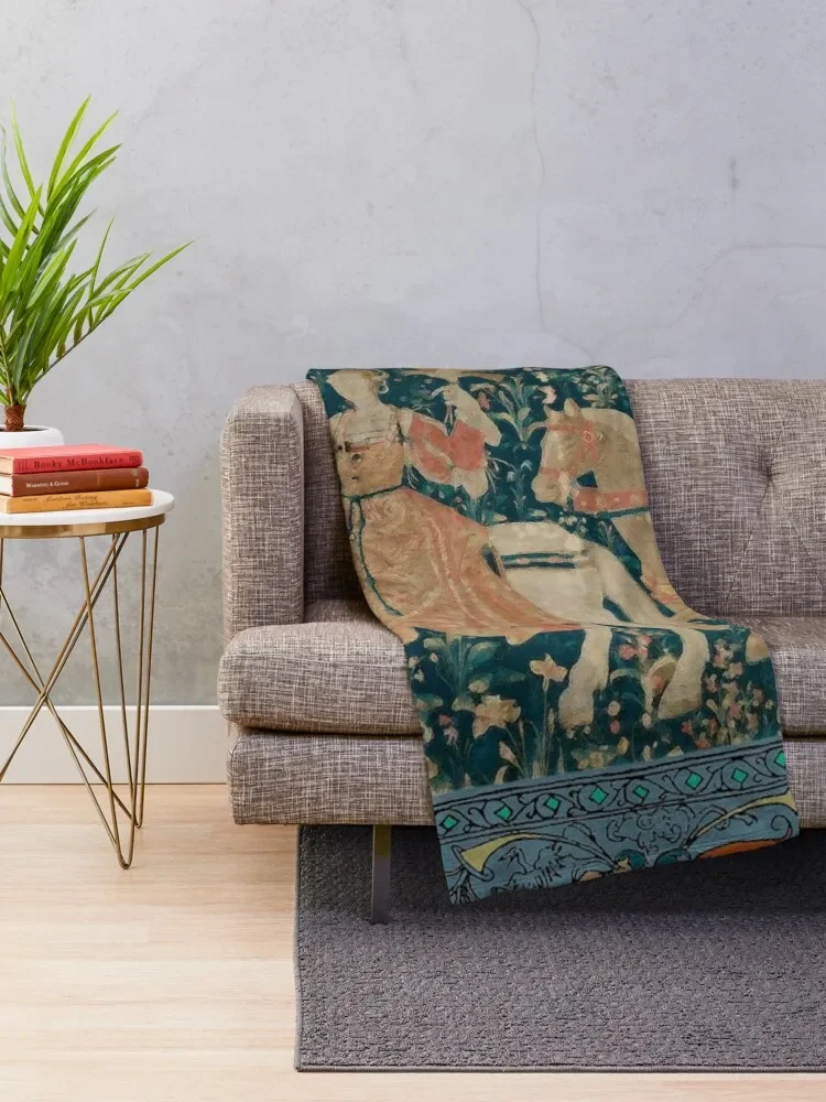 �߼� ���ǽ�Ʈ��-ȣũ ��� ������ ���, �Ƹ��ٿ� ķ�� �ִϸ��̼� ���, ��� ���� ���