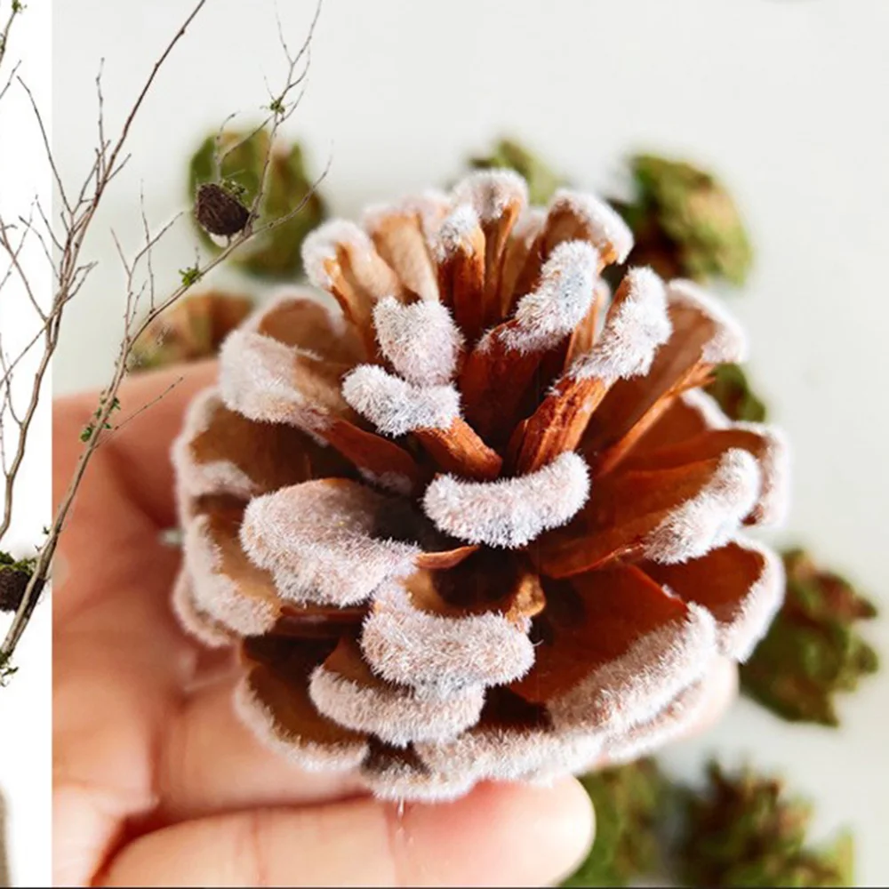 10Pcs PineCones Natural Pine Cones for Wedding Christmas Tree Wreath DIY  Scrapbooking Decor Fall Thanksgiving Xmas Ornament - AliExpress