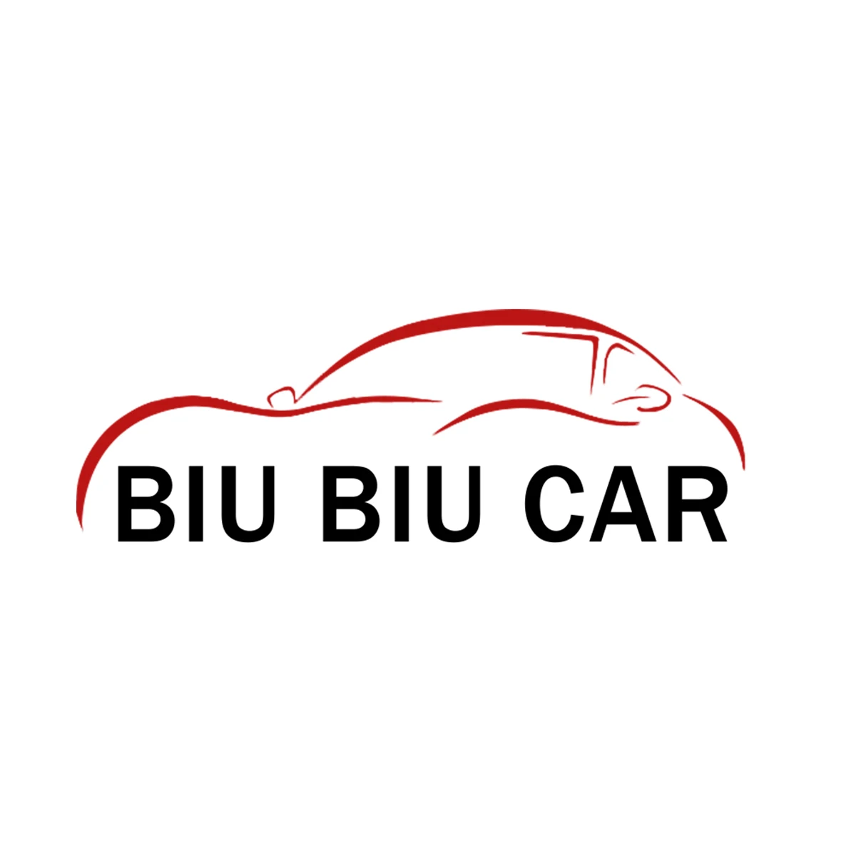 BiuBiuCar Store