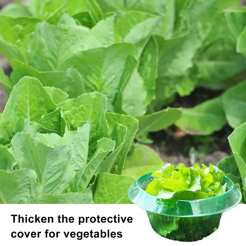 

Reusable Plant Bell Covers Weather-resistant Transparent Garden Cloches Reusable Plant Protectors for Slug Defense 1/5/15pcs