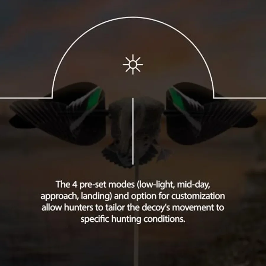 description